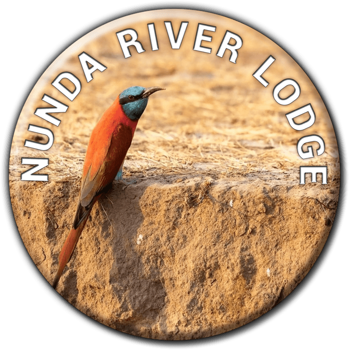 Nunda River Lodge - Lodge Accommodation in Bagani, Namibia