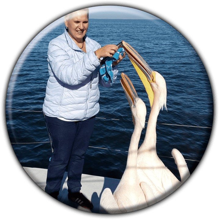 Namibia Dolphin and Seal Catamaran Cruises (Walvis Bay) - Tours and Safaris Operators in Henties Bay, Namibia